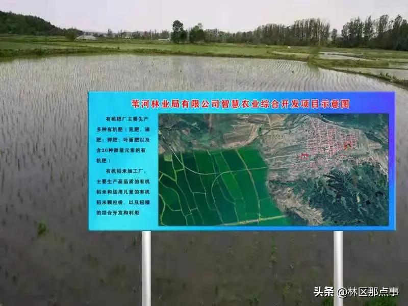 智慧农业开发项目,20万亩智慧农业生态种植项目