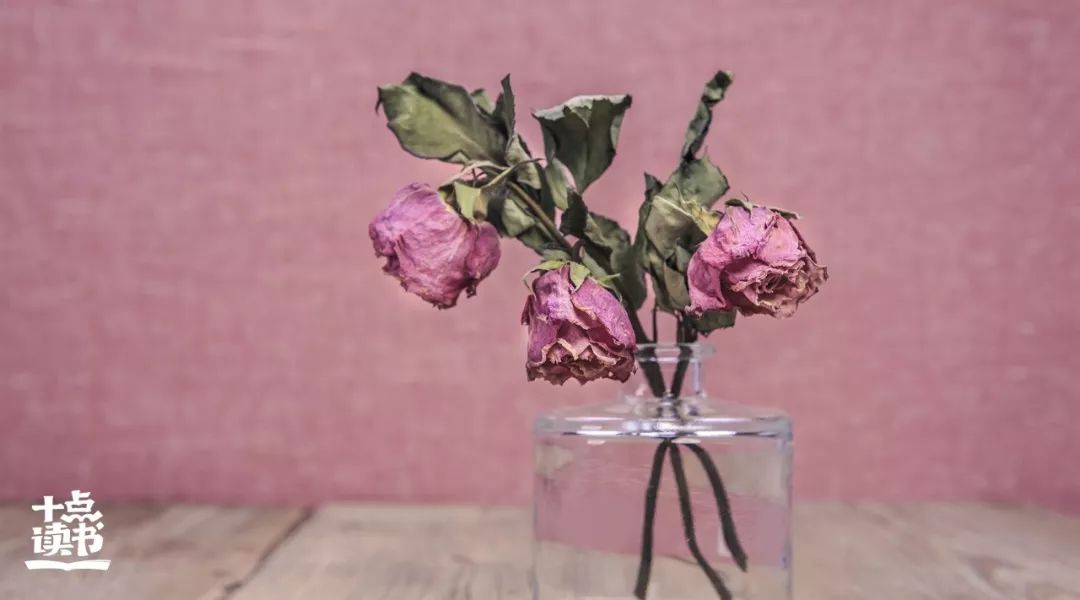 错把平台当本事下一句是什么,千万别错把平台当本事