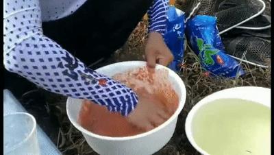 拉饵开不出丝是怎么回事,拉饵拉不起来什么原因