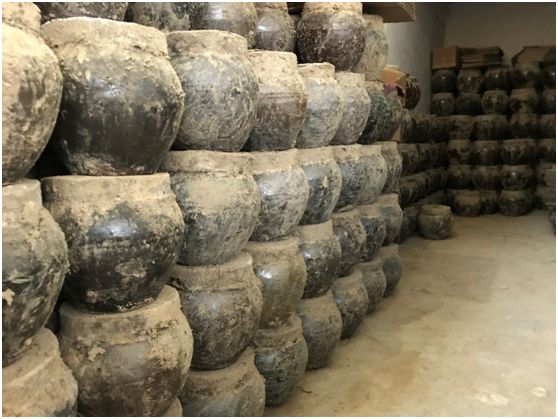 翁源东华地窖酒,韶关翁源赏荞麦花