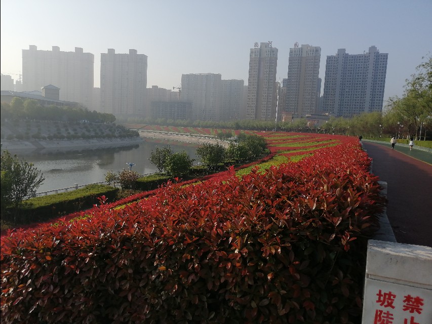 社旗县三杰盛世城二手房,社旗三杰盛世城小区三室两厅