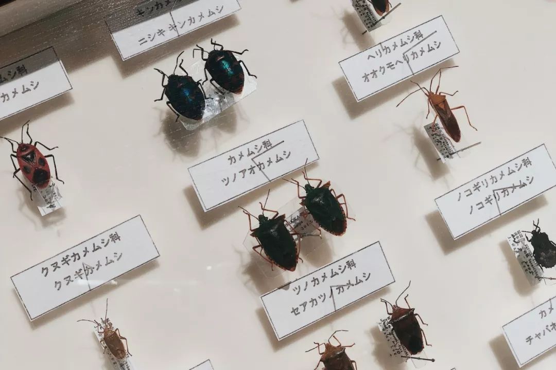 生活福冈,生活在福冈的十个理由