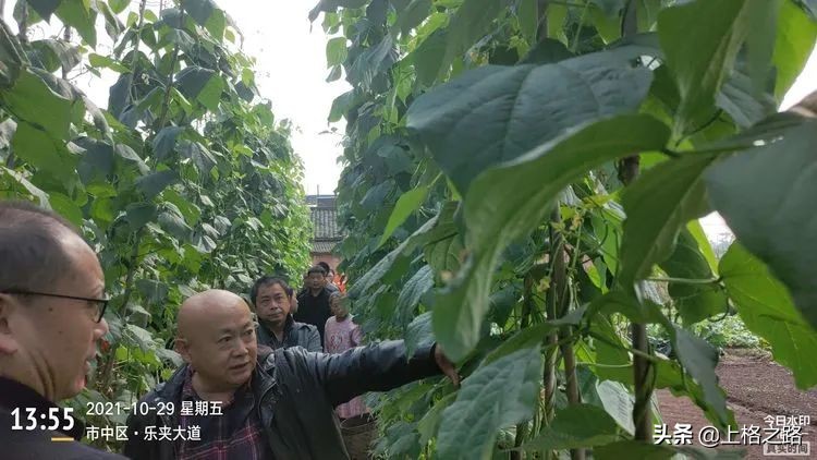 天禾宝赢套装为农作物的丰收保驾护航