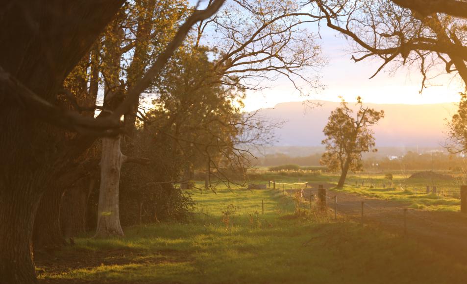 今年双十一奶粉怎么样了,这次双十一受影响吗