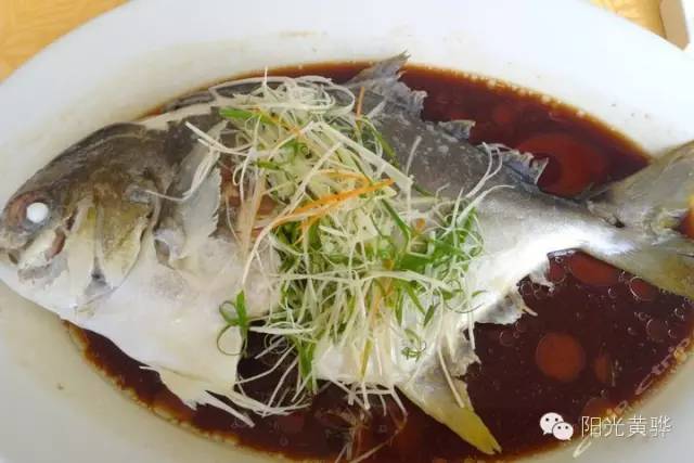 一座美丽的黄骅城市,黄骅的城市