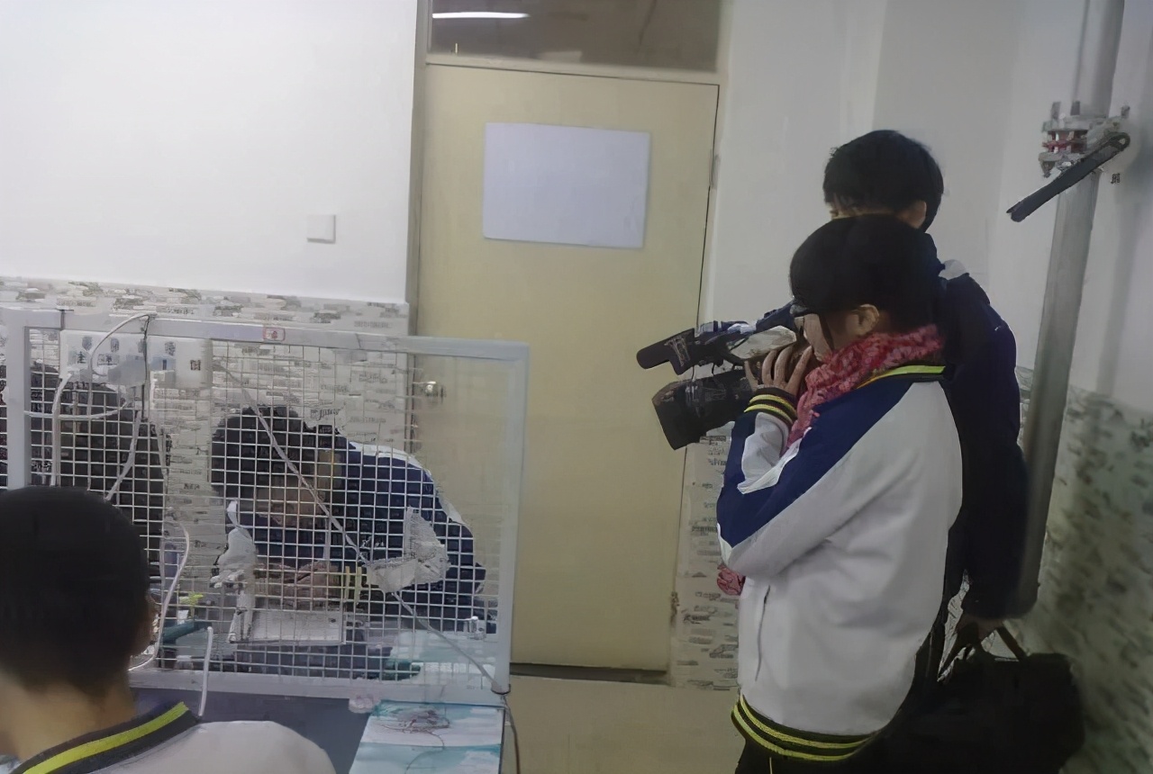 在北京十一学校就读是怎样一番体验？这里有最幸福的时光