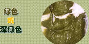 宝宝腹泻消化不良吃什么辅食,婴儿吃辅食后消化不良引起的腹泻