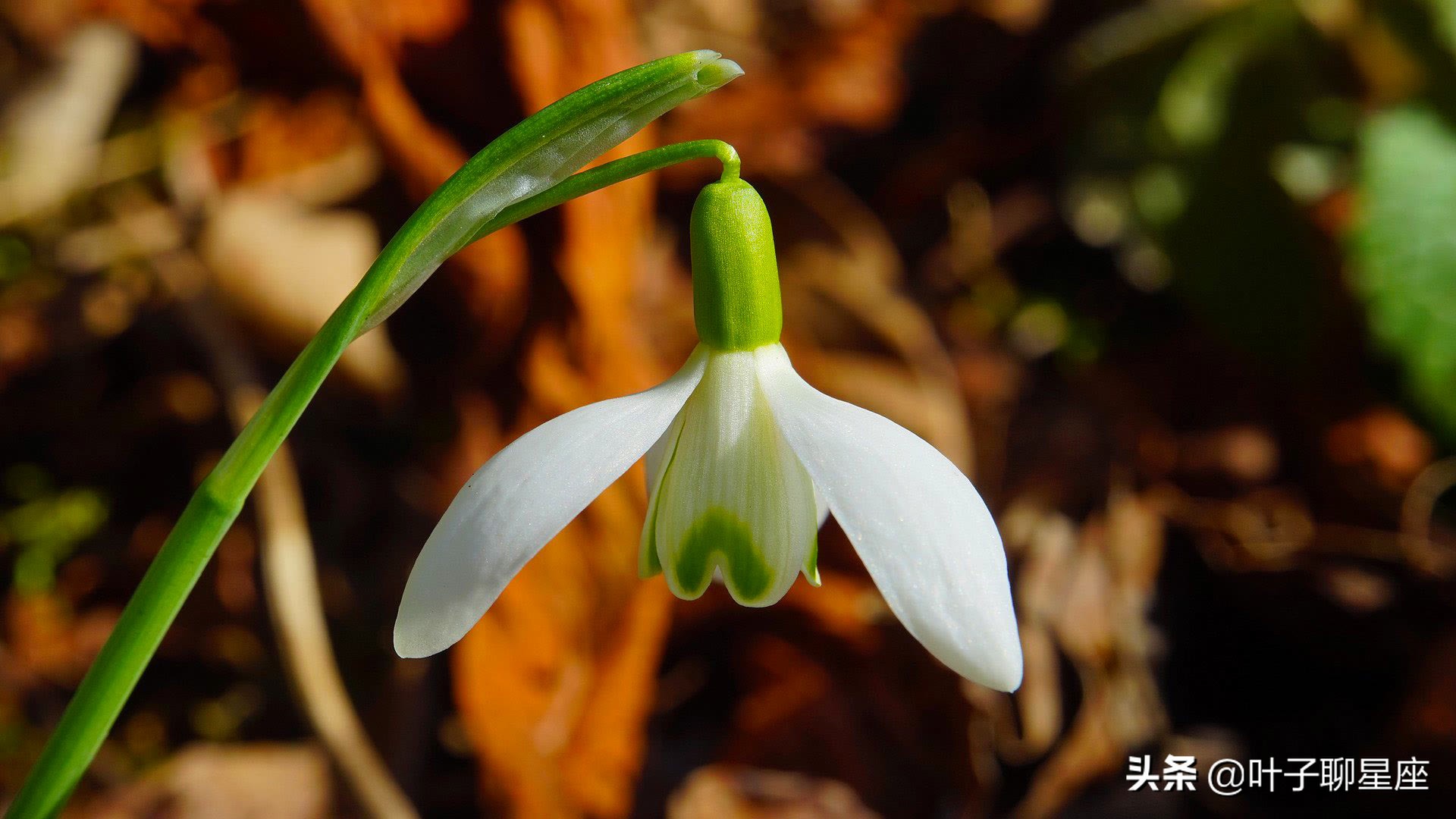 处女座最困扰的8件事,处女座的心思你不要猜