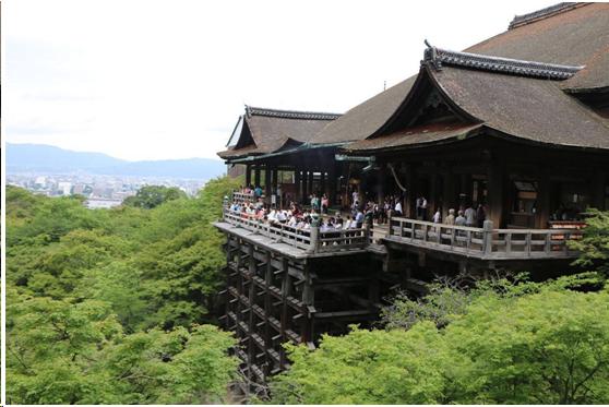 来到日本不能错过章鱼小丸子,去京都不可错过的和服体验