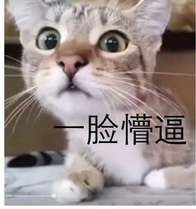 猫被蜱虫咬怎么办,被猫咬了之后怎么办