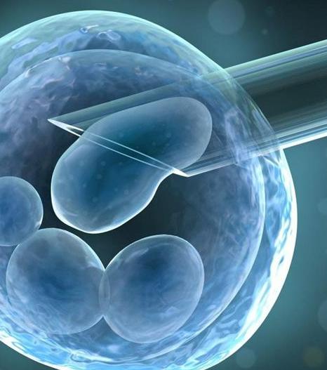 林志玲、徐静蕾等女星冻卵你怎么看?医生说:不建议冻卵