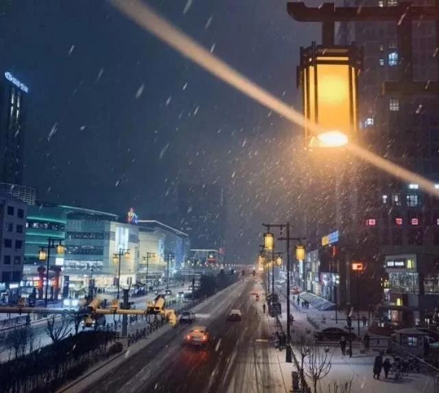 珍爱婚恋平台,珍爱同城相亲网下载