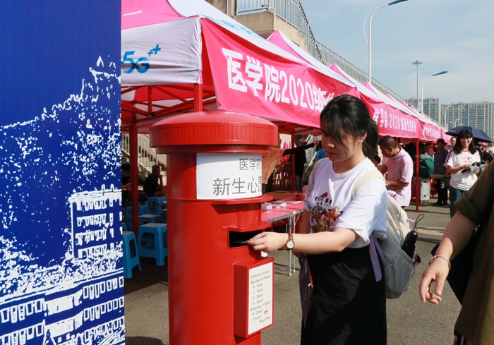 乘风破浪为你而来完整版,乘风破浪为你而来