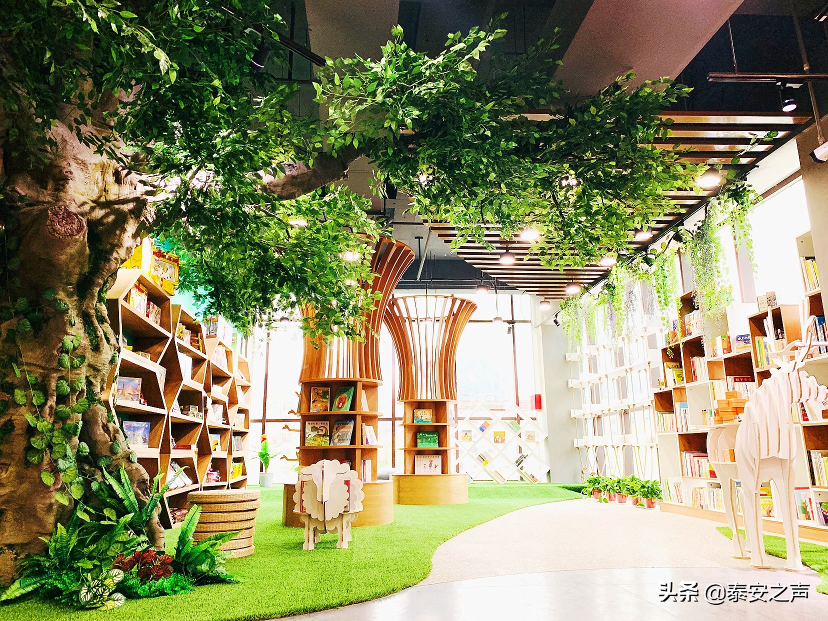 品一本书，将内心沉淀；悟一个道理，让少年成长！安屿图书试营业，推出植书计划