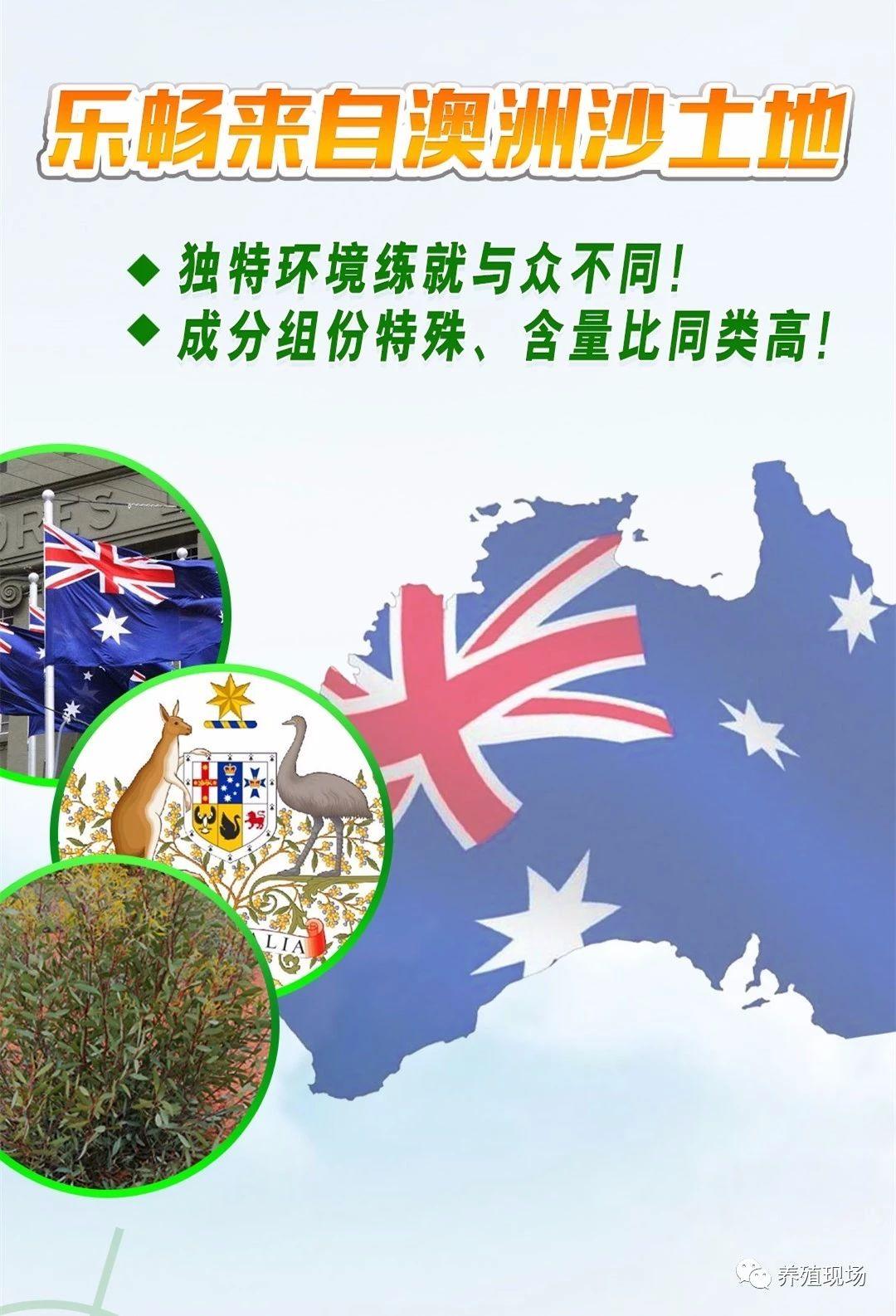 鸡虱子叮人怎么根除,鸡虱子跑到家里到处都是怎么办