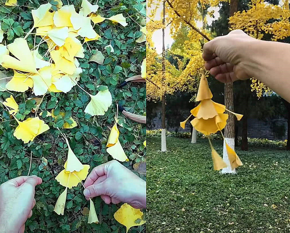 用银杏叶做一个非常有名的艺术品,小学生银杏叶手工简单