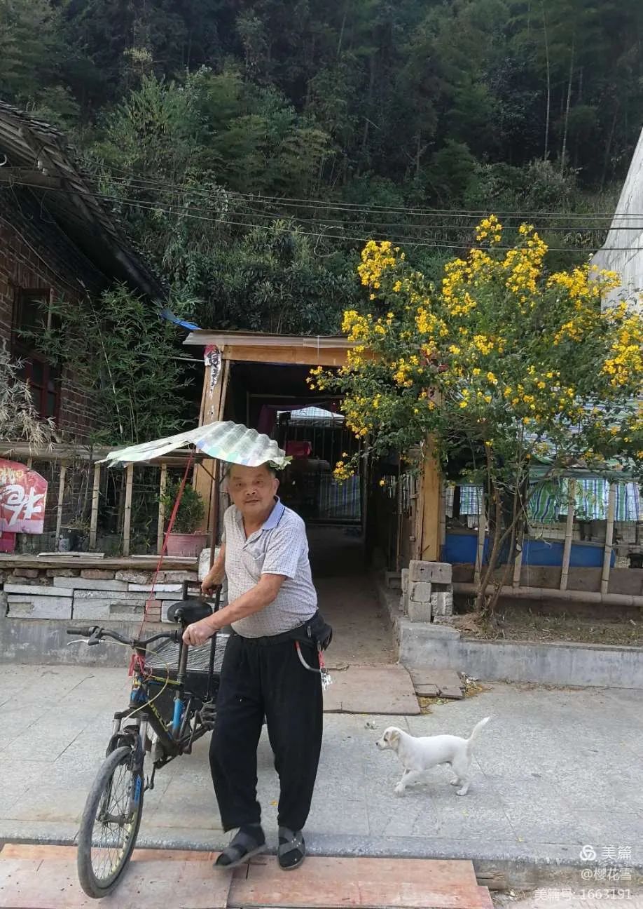 李福信《梅溪》心香文艺