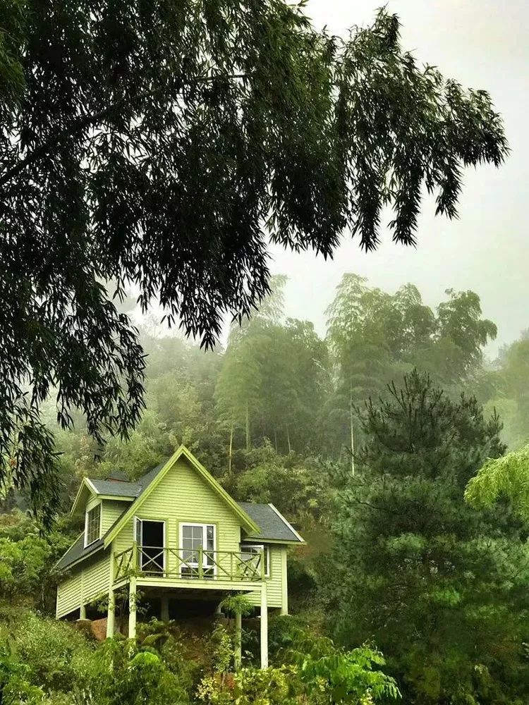 被称为中国小瑞士的地方,号称国内小瑞士