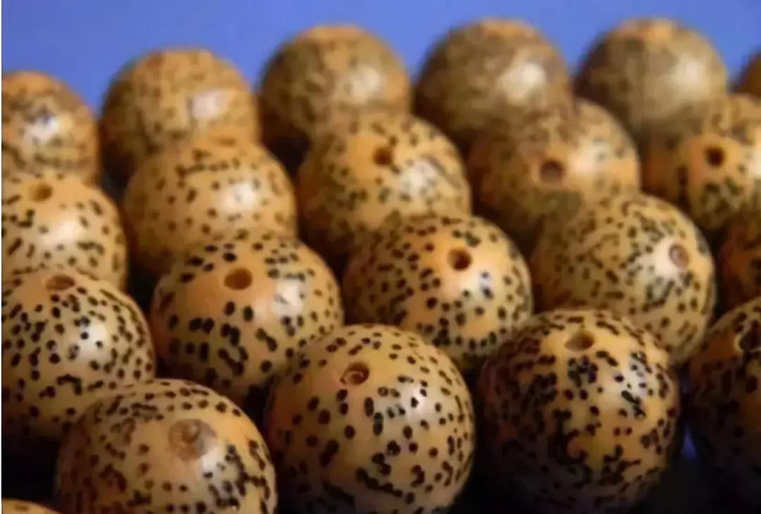 认识了70种菩提，您就是半个专家，再逛文玩市场就没有压力啦！