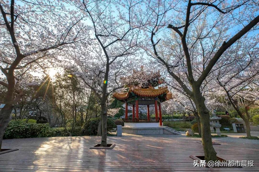 520,爱徐州,说出来