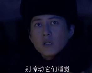 胡八一鬼吹灯古墓,鬼吹灯倒斗胡八一到底赚了多少钱