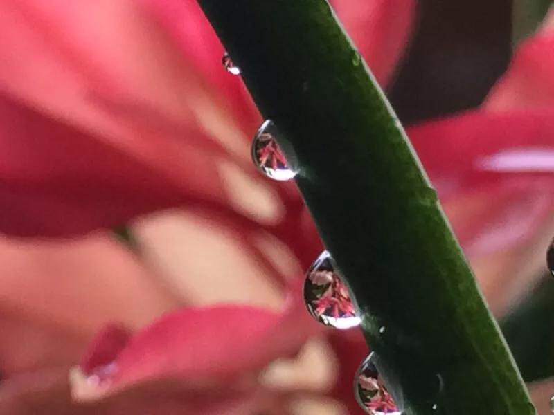 手拍世界完整版视频,手拍世界作品专集