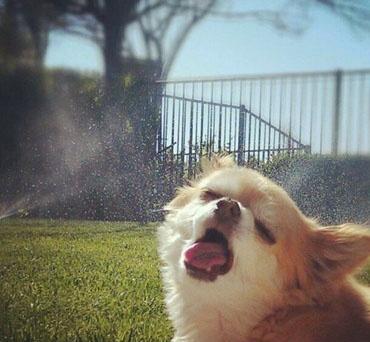 沙漠大干皮深层补水面膜推荐,适合沙漠大干皮用的保湿面膜