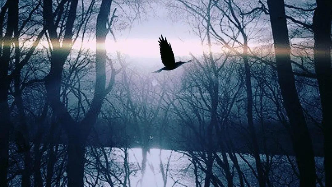 一个在商海沉浮的女人,在红尘漂泊的女人