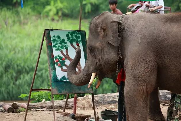 每个生命都值得被虐待,任何生命都不该被虐待