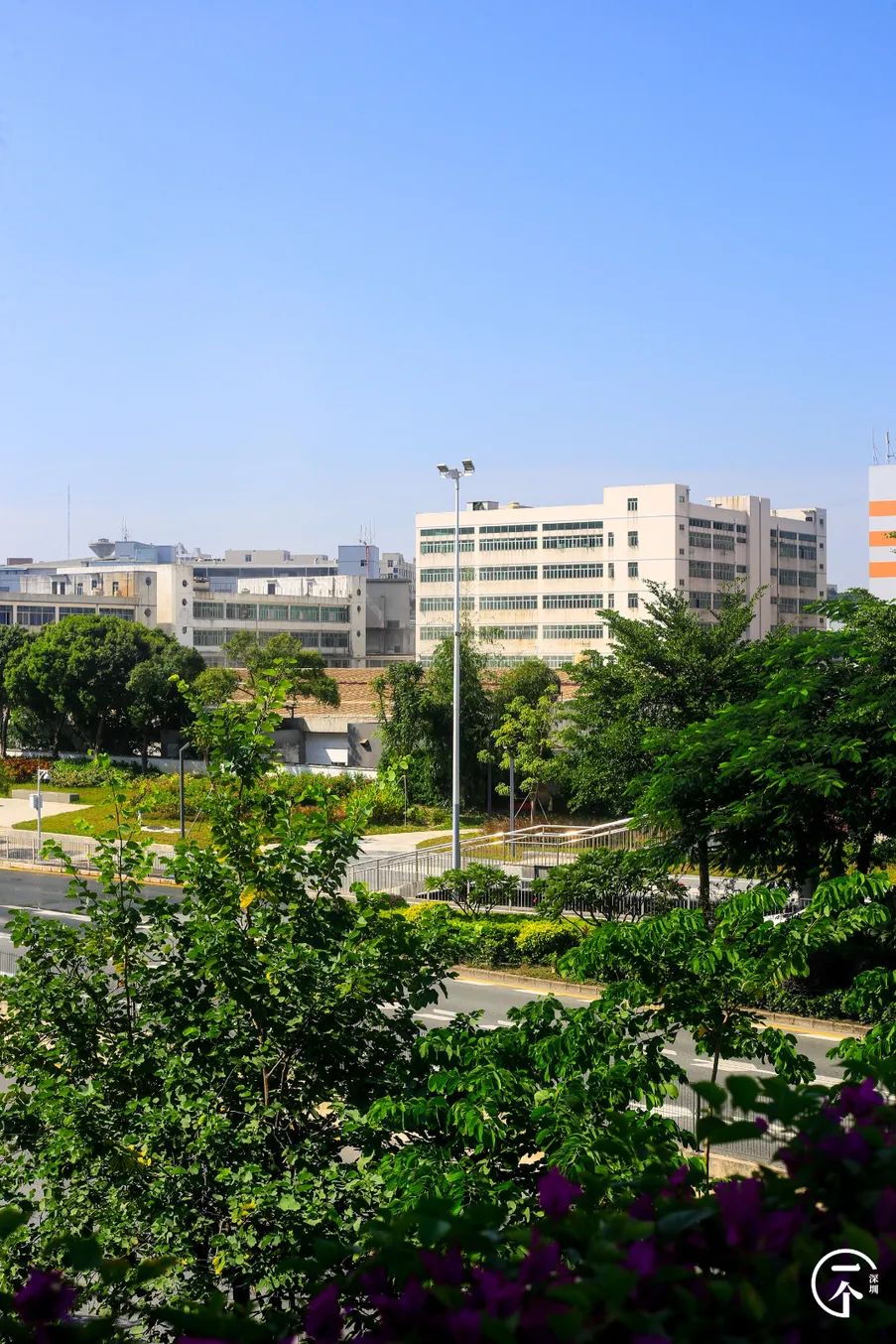 深圳“厂哥村”，女生可以百里挑一？