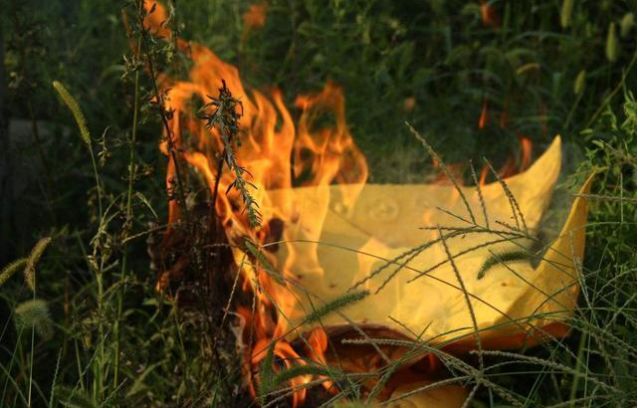 「原创诗词」管恩锋|一缕凉风送佳讯春芽初孕又阳天