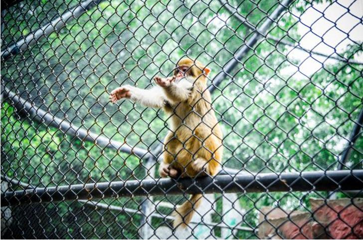 南湖梦幻岛畅玩套票怎么买,南湖梦幻岛59.9元套票