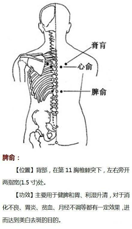 祛斑的最佳穴位示意图,按摩哪个穴位祛斑背部