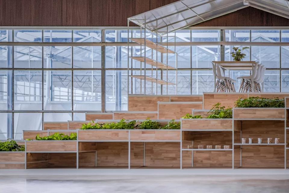 乡村振兴特色文化案例分享,关于乡村振兴比较有创意的点子