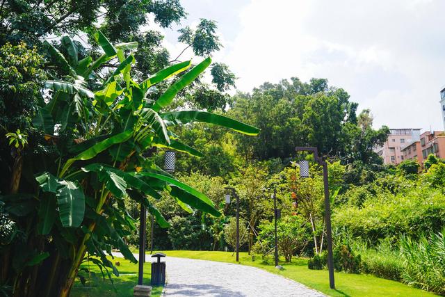 深圳古镇甘坑客家小镇值不值,深圳甘坑客家小镇今天人多吗