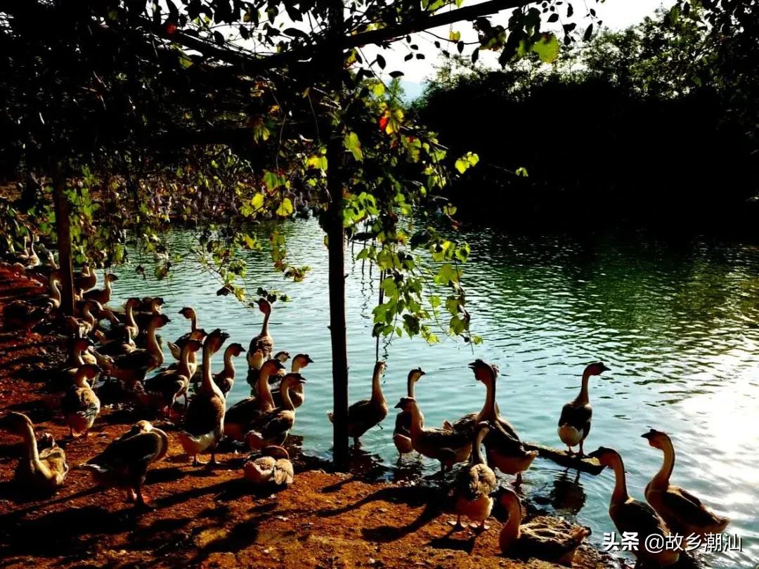 潮汕海山风情图片,饶平海山风情