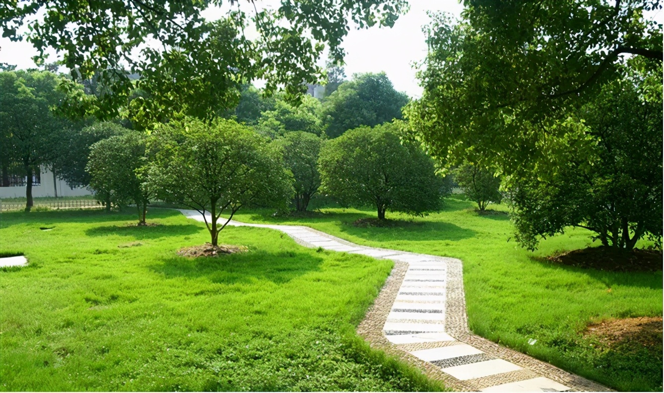 别总盯着市三区了，吴中区优质初中不容错过