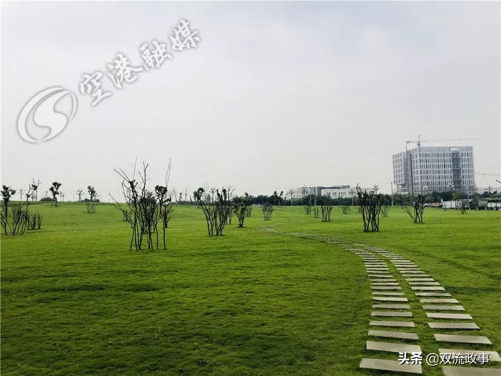 成都双流怎样,你怎么那么绿是什么梗