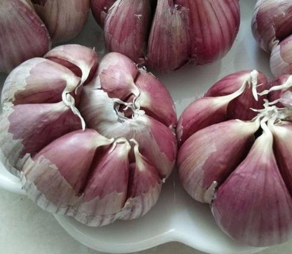 北方吃大蒜正确吃法,北方人爱吃大蒜的原因