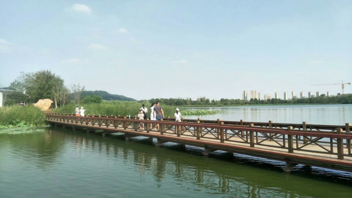 武汉后官湖湿地公园门票,武汉后官湖湿地公园线路图