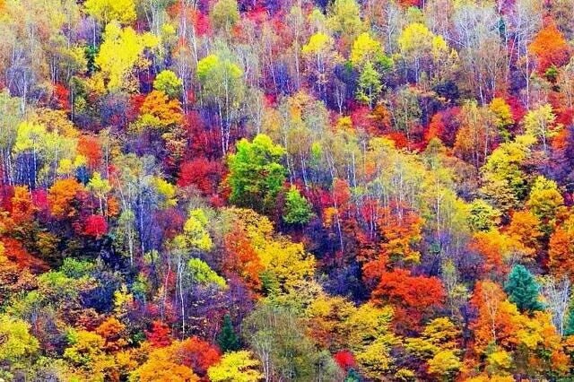 学英语有用吗视频,学英语最好用的app