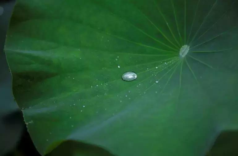 渡己亦是渡人,渡己亦是渡人说的很有道理