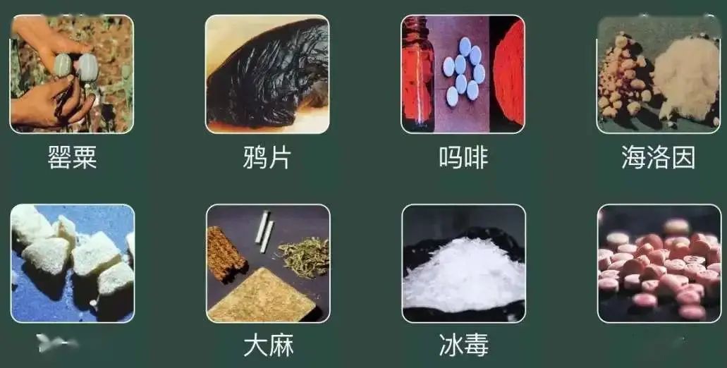 开学法制第一课校园欺凌,开学普法第一课保护未成年