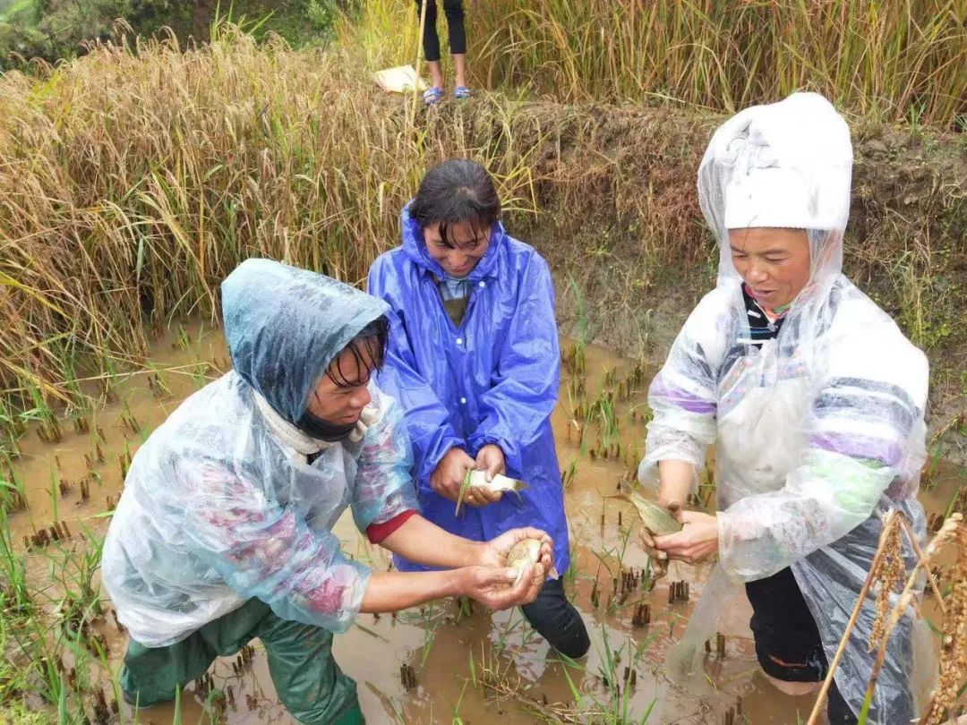 昆明必须知道的高端饭店,昆明市比较出名的饭店