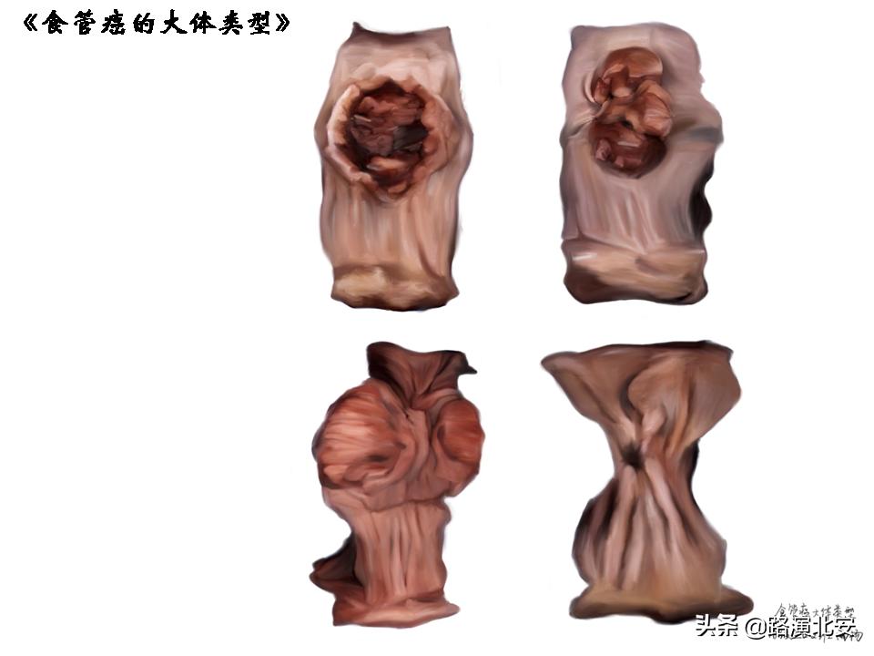 生命的故事绘本视频,生命的故事绘本绘画