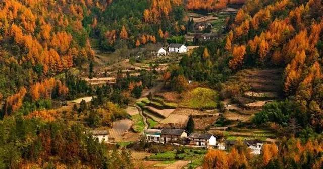 五一武汉市周边游,五一武汉周边短途旅游推荐