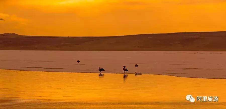 藏西秘境阿里之行,藏西秘境阿里