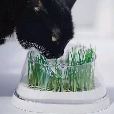 优基情人节良心指南