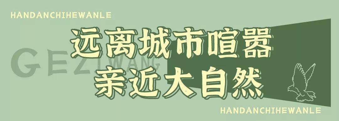 秋冬来袭！来碗养生汤！吃着鸽子喝着汤！请客有面子就到鸽子王
