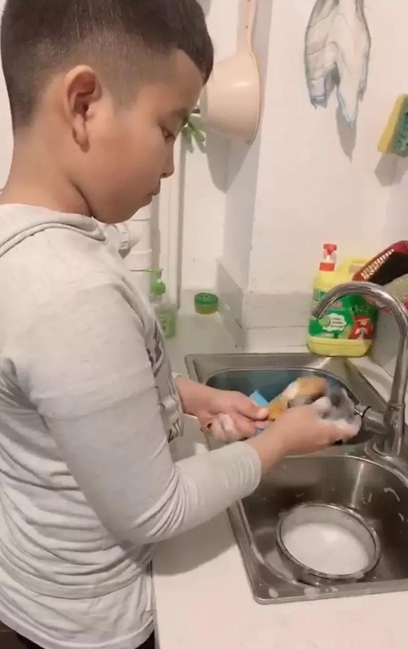 延安兰家坪小学新闻,延安市兰家坪小学排行